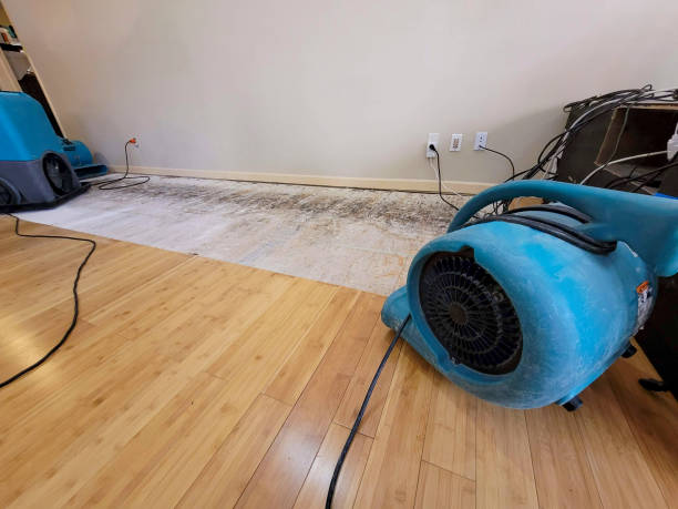 Professional Flood Damage Cleanup technician working in Swansboro, NC